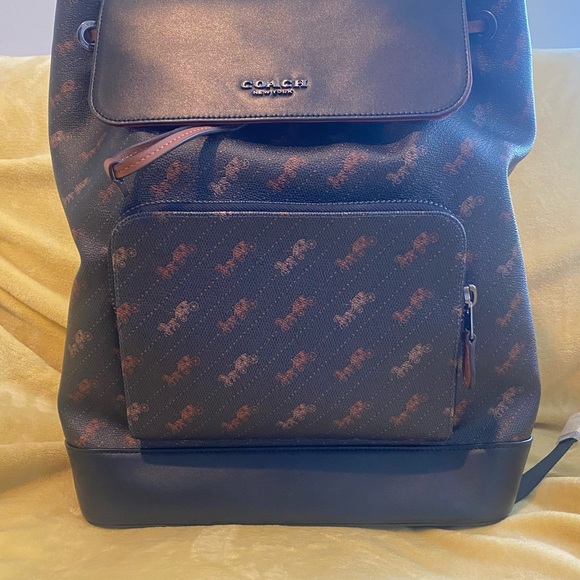 COACH LEATHER BACKPARK - Picture 3 of 16